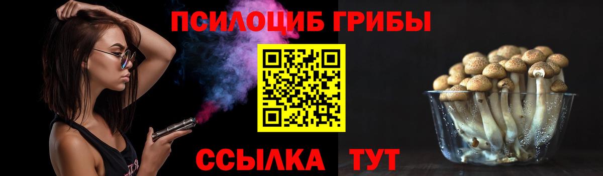хочу   Вход с VPN  Красноуфимск  Псилоцибиновые грибы мухоморы 